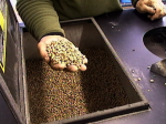 woodpellets